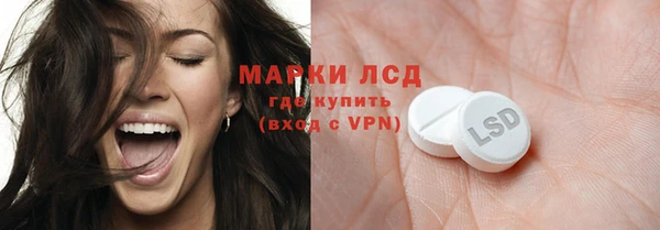 ПСИЛОЦИБИНОВЫЕ ГРИБЫ Абаза