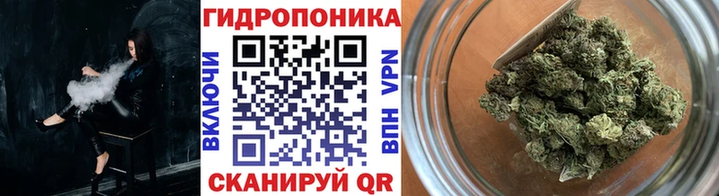 Бошки марихуана план  закладка  Шебекино 